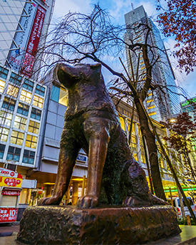 Hatchiko Statue at Shibuya Station